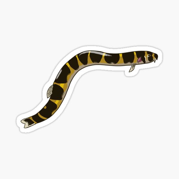 Striped Kuhli Loach Sticker Sticker