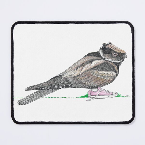 Item preview, Great Eared Nightjar in Pink Low Tops designed and sold by JimsBirds.