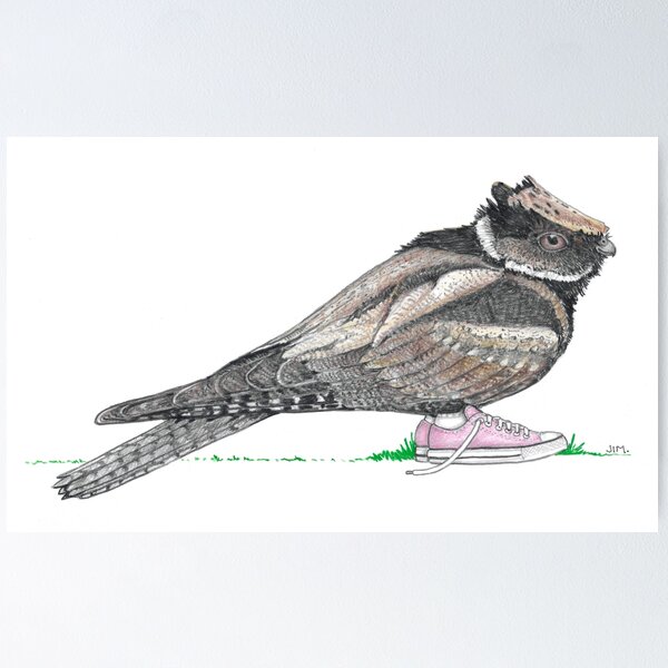 Item preview, Great Eared Nightjar in Pink Low Tops designed and sold by JimsBirds.
