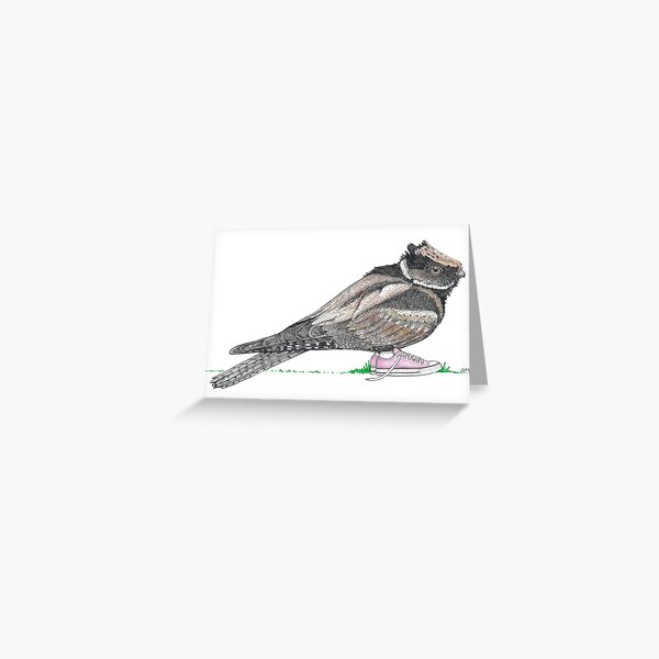 Item preview, Great Eared Nightjar in Pink Low Tops designed and sold by JimsBirds.