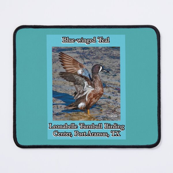 Item preview, Blue-winged Teal ~Leonabelle Turnbull Birding Center, Port Aransas, Texas designed and sold by MoreEZUSA-Here.