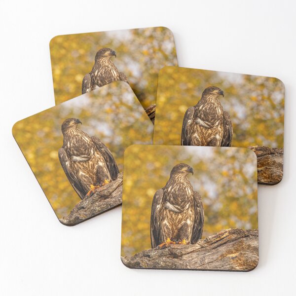 Item preview, Bald Eagle Portrait designed and sold by Vargulich.