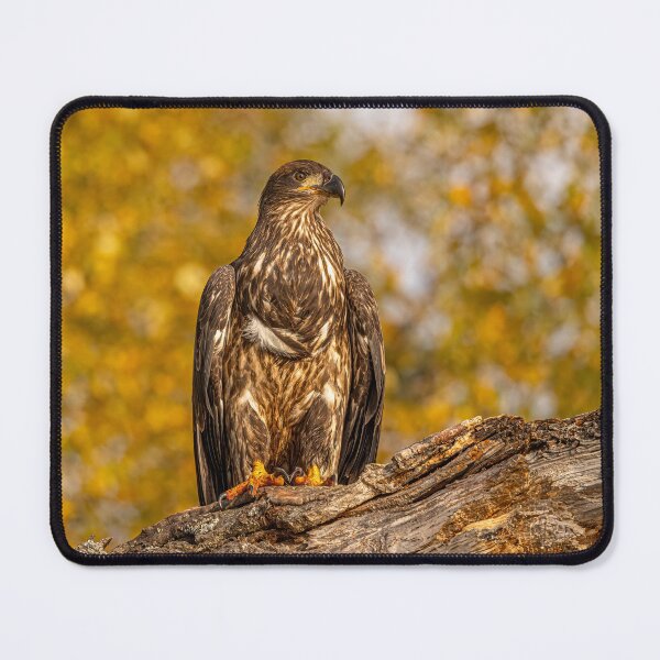 Item preview, Bald Eagle Portrait designed and sold by Vargulich.