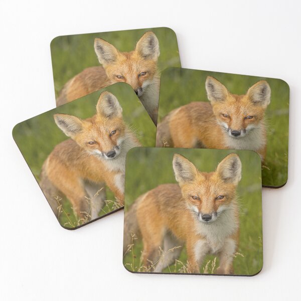 Item preview, Red Fox Portrait designed and sold by Vargulich.