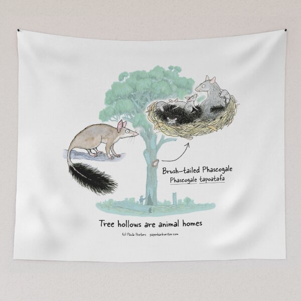 Item preview, Brush-tailed Phascogale: Tree hollows are animal homes designed and sold by Paula Peeters.