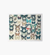 Wings Art Board