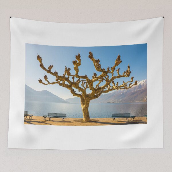 Item preview, Bare Tree designed and sold by Mats Silvan.