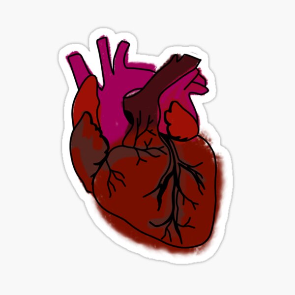 Coeur anatomique aérophage Sticker