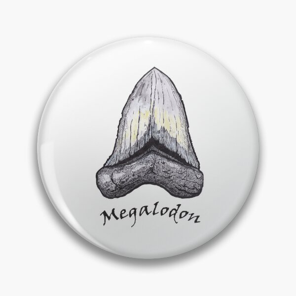 Item preview, Megalodon Tooth designed and sold by wademcmillan.