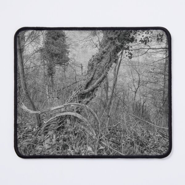 Item preview, Out among the trees designed and sold by Jeff  Wilson.