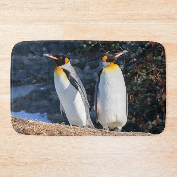 Item preview, King Penguin Pair Against Wintry Backdrop designed and sold by rawshutterbug.