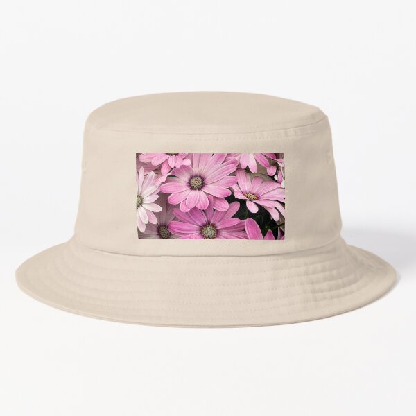 Pink and white osteospermum flowers Bucket Hat