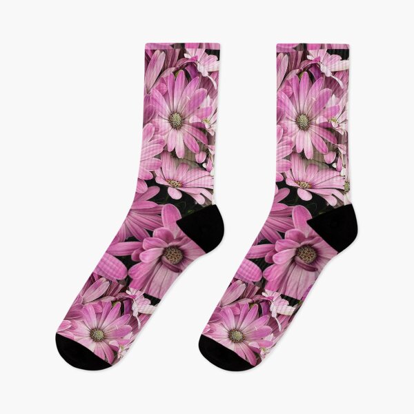 Item preview, Pink and white osteospermum flowers designed and sold by Dev-Crayon.
