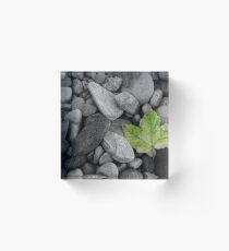shingle Acrylic Block