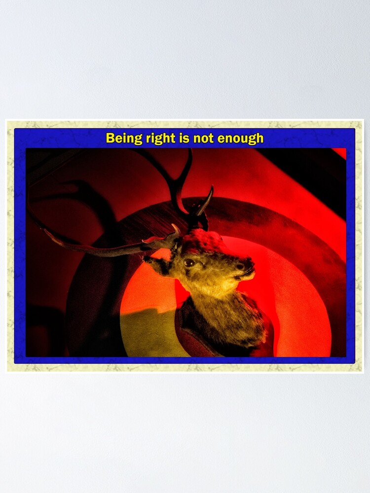 Alternate view of Being right is not enough Poster