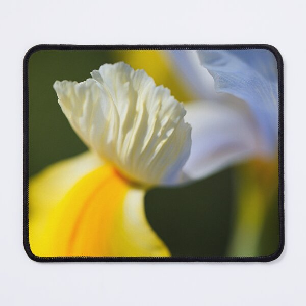 Item preview, Dutch Iris Oriental Romance designed and sold by Joy Watson - Natural Light Photography .