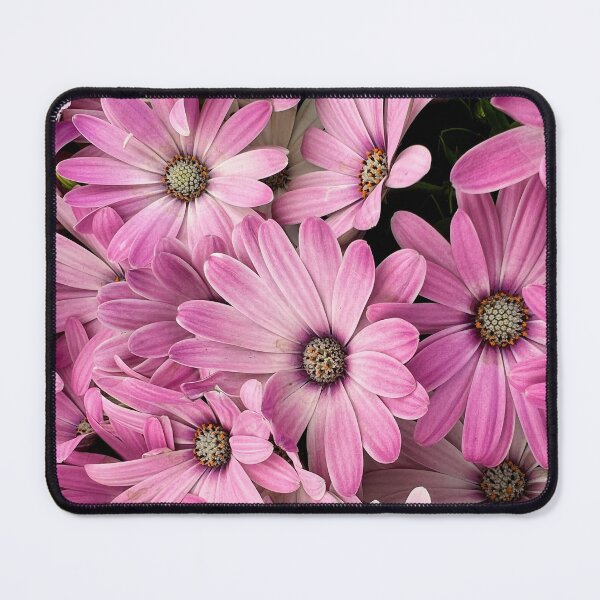 Item preview, More pink and white osteospermum flowers designed and sold by Dev-Crayon.