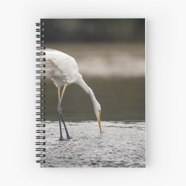 Item preview, Great Egret on the Gold Coast designed and sold by Ozjanette90.