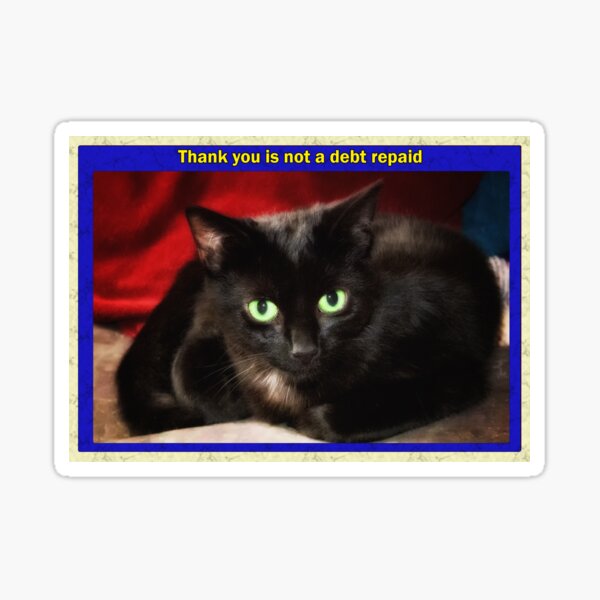 Thank you is not a debt repaid Sticker