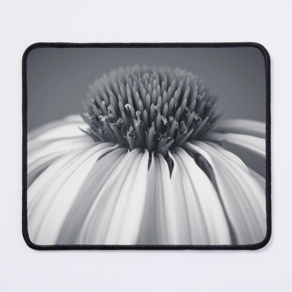 Item preview, Coneflower designed and sold by assaf.