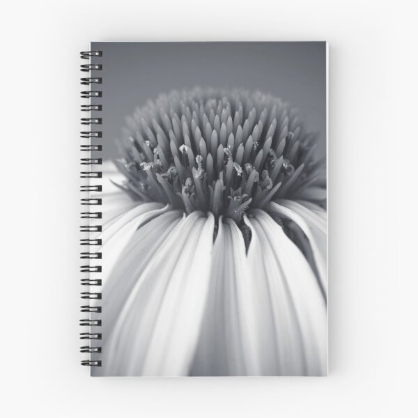 Item preview, Coneflower designed and sold by assaf.
