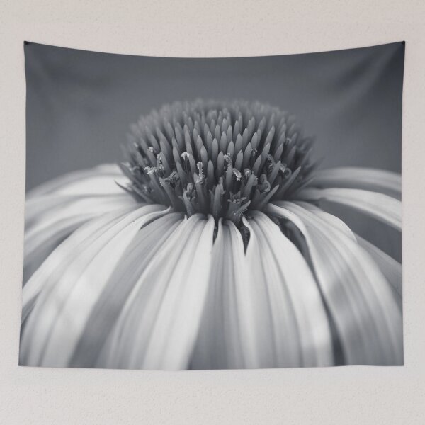 Item preview, Coneflower designed and sold by assaf.