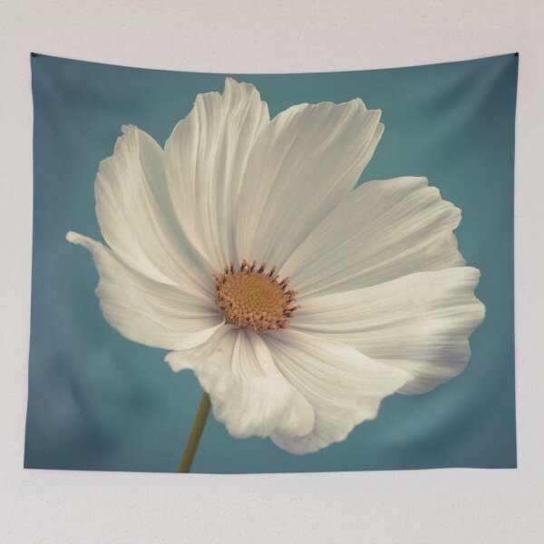 Item preview, Cosmos Blooms designed and sold by assaf.