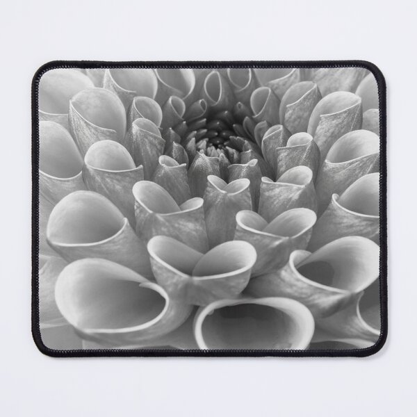 Item preview, Coral Dahila designed and sold by assaf.
