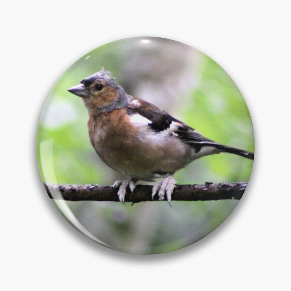 Item preview, Chaffinch designed and sold by KathleenDawson.