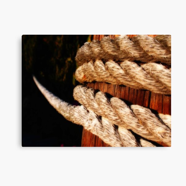 Against the Ropes Canvas Print