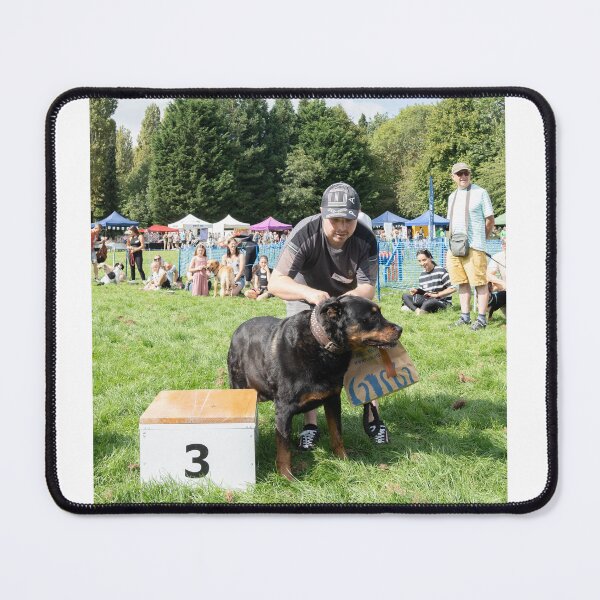 Item preview, 3rd Place Most Handsome Male designed and sold by Woodside-RSPCA.