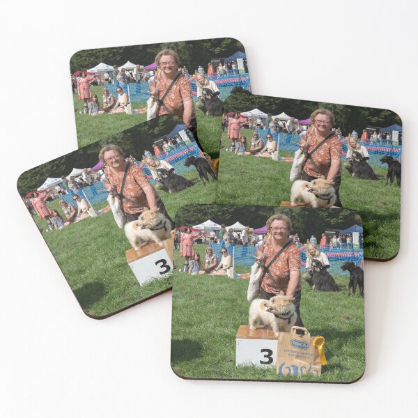 Item preview, 3rd place Golden oldie. Woodside RSPCA dog show, Knighton Park 2023 designed and sold by Woodside-RSPCA.