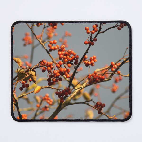 Item preview, Orange berries against a stormy grey sky designed and sold by Emma Amies.