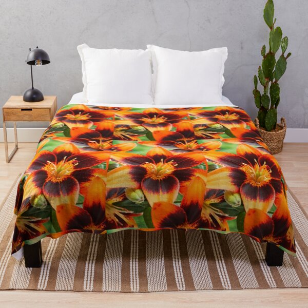Item preview, Lilium 'Cooper's Crossing' Lily Asiatic lily designed and sold by Chris Burrows.