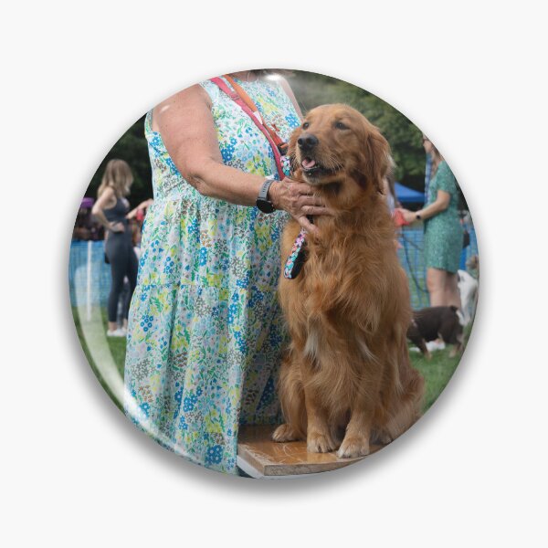 Item preview, 1st place Prettiest female. Woodside RSPCA dog show, Knighton Park 2023 designed and sold by Woodside-RSPCA.