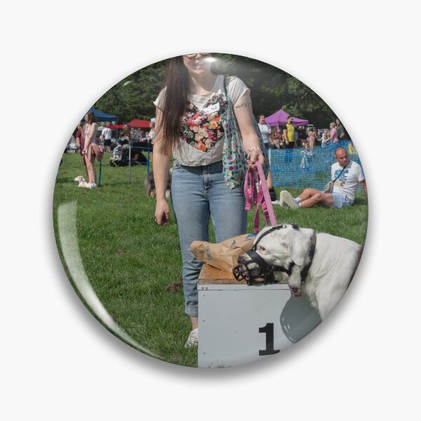 Item preview, 1st place, Golden oldie. Woodside RSPCA dog show, Knighton Park 2023 designed and sold by Woodside-RSPCA.