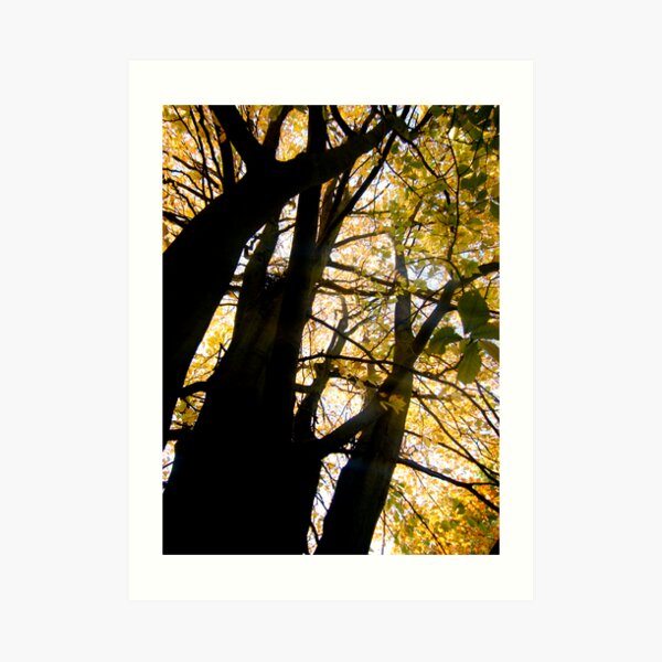 Golden Leaves Art Print