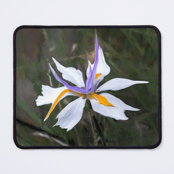 Item preview, Fortnight Lily Impressions designed and sold by Wayne King.