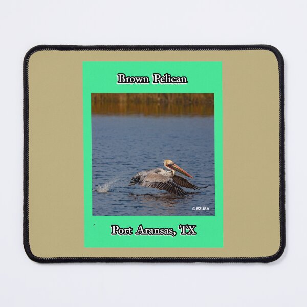 Item preview, Give The Bird To Your Lover: Brown Pelican, Leonabelle Turnbull Birding Center, Port Aransas, Texas designed and sold by MoreEZUSA-Here.