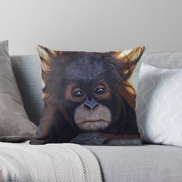 https://ih1.redbubble.net/image.5234204238.2756/throwpillow,small,600x-bg,f8f8f8-c,0,120,600,600.jpg