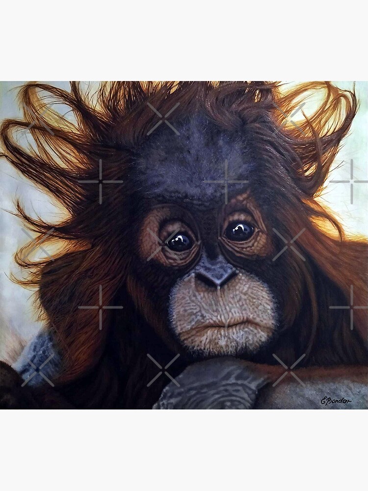 Thumbnail 7 of 7, Framed Art Print, Milo - The Borneo Baby Orangutan designed and sold by Rinsetheman.