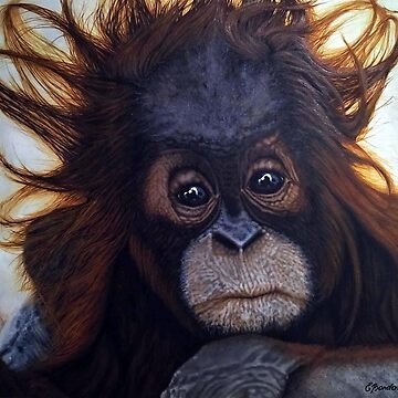 Artwork thumbnail, Milo - The Borneo Baby Orangutan by Rinsetheman
