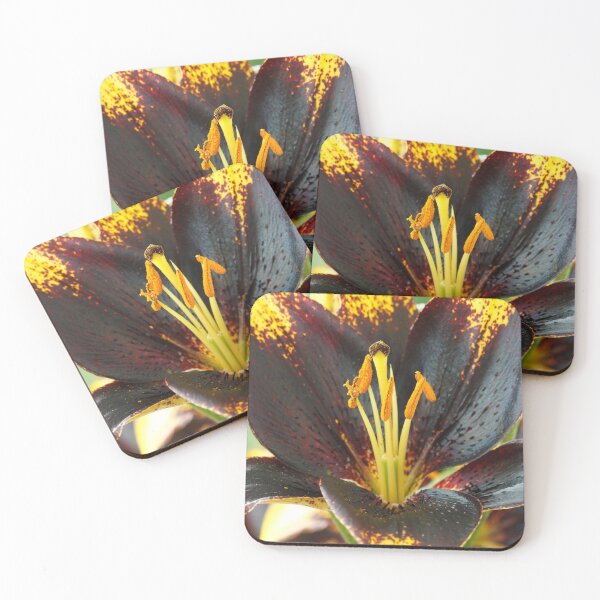Item preview, Lilium  'Lion Heart'  Lily  Asiatic lily   designed and sold by Chris Burrows.