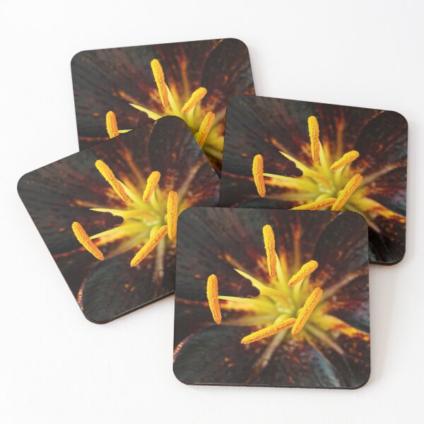 Item preview, Lilium  'Lion Heart'  Lily  Asiatic lily  designed and sold by Chris Burrows.