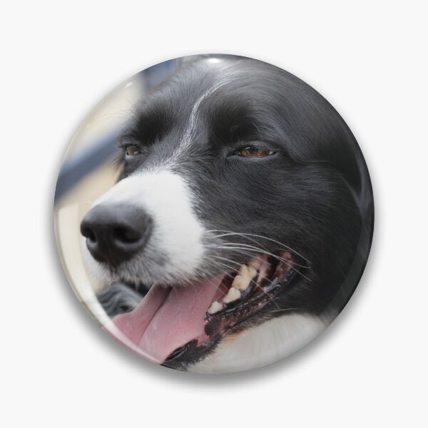 Item preview, Woodside Animal Centre - RSPCA Leicester designed and sold by Woodside-RSPCA.