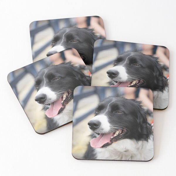 Item preview, Woodside Animal Centre - RSPCA Leicester designed and sold by Woodside-RSPCA.
