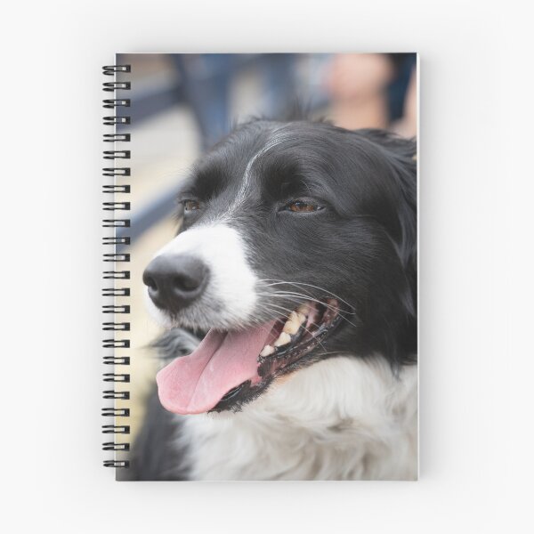 Item preview, Woodside Animal Centre - RSPCA Leicester designed and sold by Woodside-RSPCA.