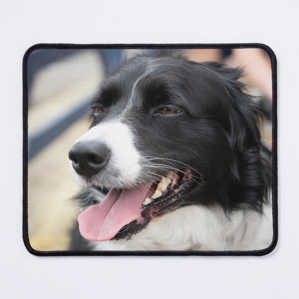 Item preview, Woodside Animal Centre - RSPCA Leicester designed and sold by Woodside-RSPCA.