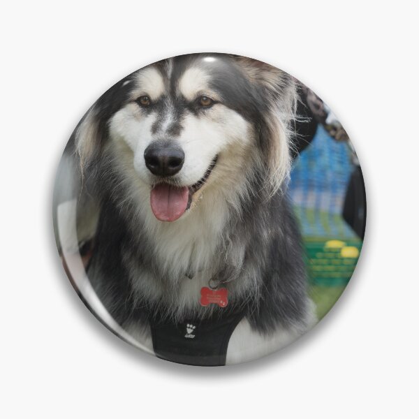 Item preview, Woodside Animal Centre - RSPCA Leicester designed and sold by Woodside-RSPCA.