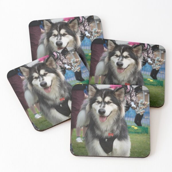 Item preview, Woodside Animal Centre - RSPCA Leicester designed and sold by Woodside-RSPCA.